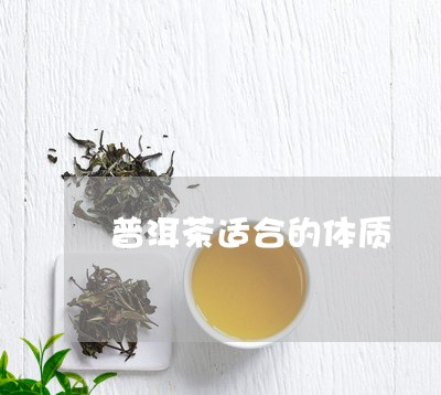 普洱茶适合的体质/2023041084917