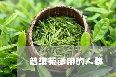 普洱茶适用的人群/2023040941715