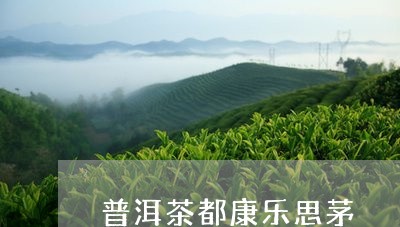 普洱茶都康乐思茅/2023041004142