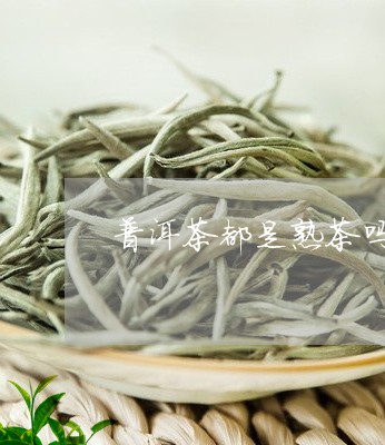 普洱茶都是熟茶吗/2023041330792