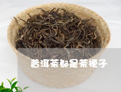 普洱茶都是茶梗子/2023031517159