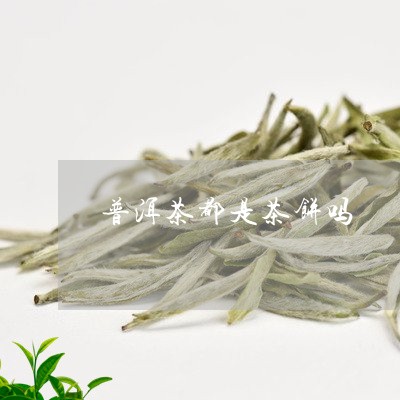 普洱茶都是茶饼吗/2023031840482