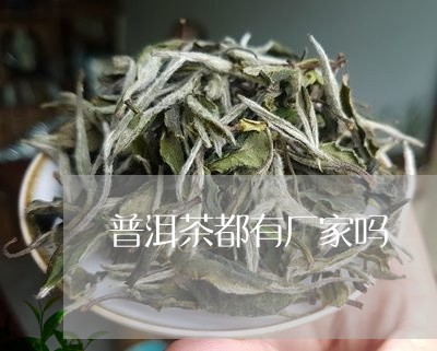 普洱茶都有厂家吗/2023040933804