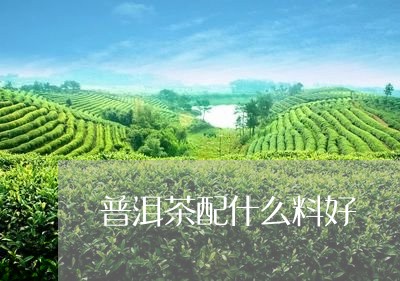 普洱茶配什么料好/2023041215139