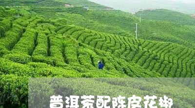 普洱茶配陈皮花椒/2023031647261