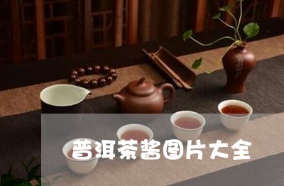 普洱茶酱图片大全/2023040960517