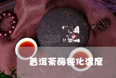 普洱茶酶钝化温度/2023041020695