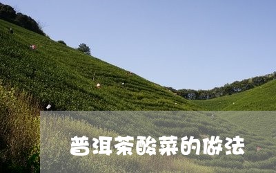 普洱茶酸菜的做法/2023041011715