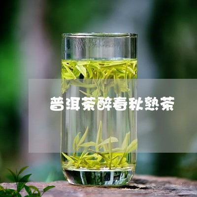 普洱茶醉春秋熟茶/2023041160514