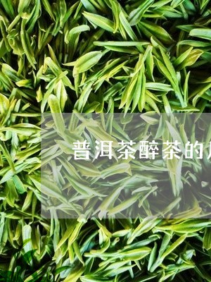 普洱茶醉茶的反应/2023031676048