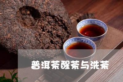 普洱茶醒茶与洗茶/2023041162703