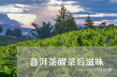 普洱茶醒茶后滋味/2023041128582