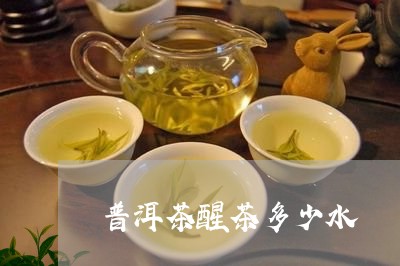 普洱茶醒茶多少水/2023041101682