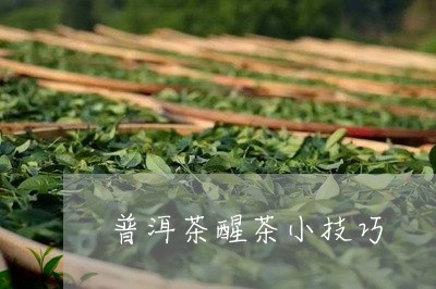 普洱茶醒茶小技巧/2023031597714