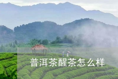 普洱茶醒茶怎么样/2023041218370