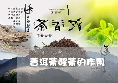 普洱茶醒茶的作用/2023041152856