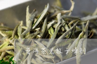 普洱茶里放干燥剂/2023033073805