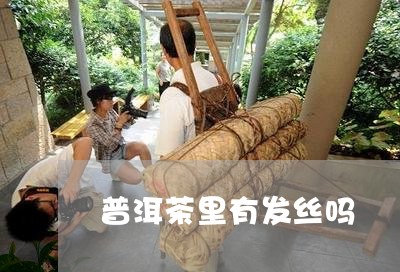 普洱茶里有发丝吗/2023041162735