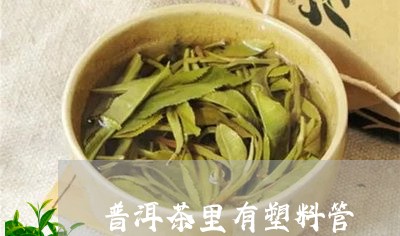 普洱茶里有塑料管/2023033134937