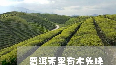 普洱茶里有木头味/2023031605826