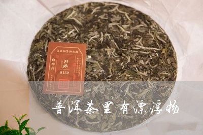 普洱茶里有漂浮物/2023033167039