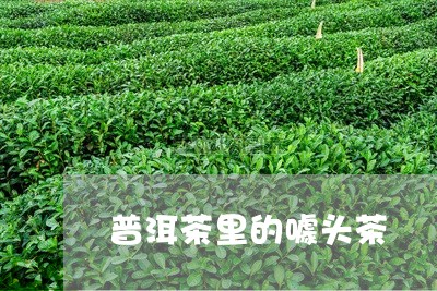 普洱茶里的噱头茶/2023041398368