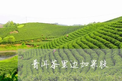 普洱茶里边加果胶/2023040949495