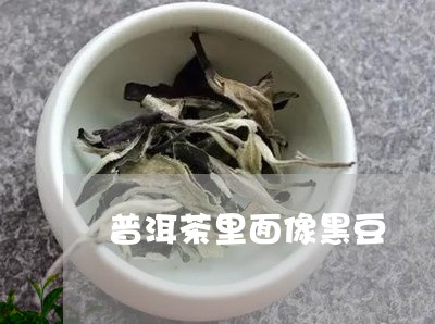 普洱茶里面像黑豆/2023041051635