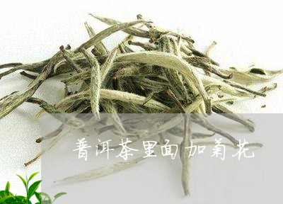 普洱茶里面加菊花/2023041057594