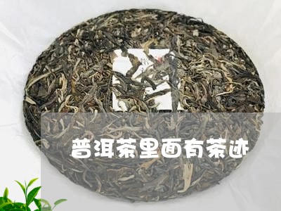 普洱茶里面有茶迹/2023041138314