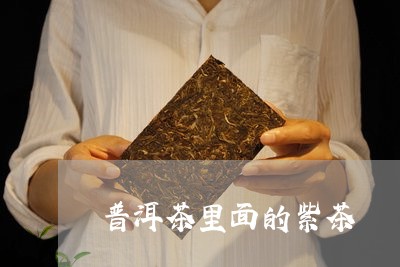 普洱茶里面的紫茶/2023031669563