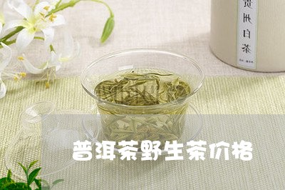 普洱茶野生茶价格/2023041272804