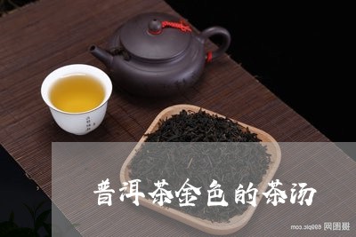 普洱茶金色的茶汤/2023041097369