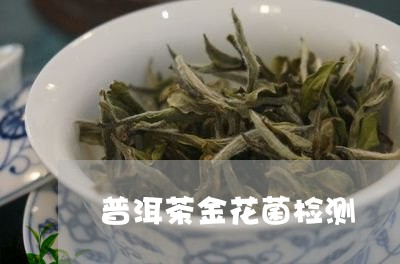 普洱茶金花菌检测/2023041071695