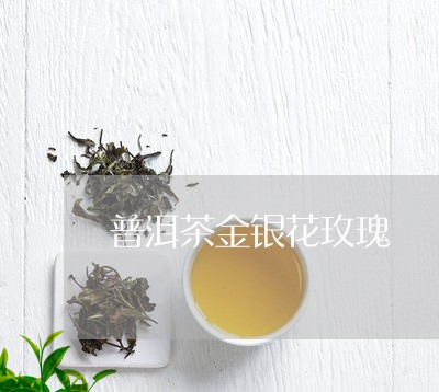 普洱茶金银花玫瑰/2023040197482