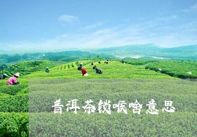 普洱茶锁喉啥意思/2023040144048