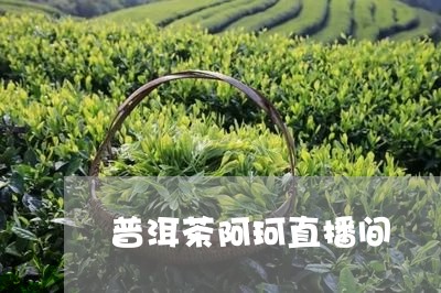 普洱茶阿珂直播间/2023041319181