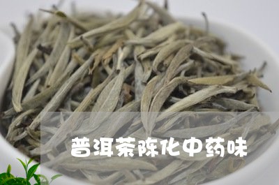 普洱茶陈化中药味/2023031705958