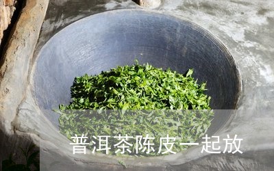 普洱茶陈皮一起放/2023033075836