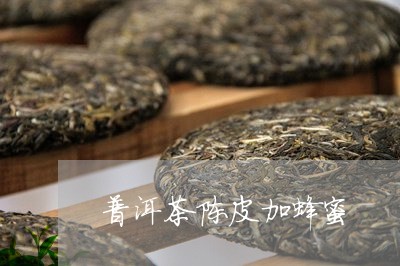 普洱茶陈皮加蜂蜜/2023040998470