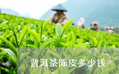 普洱茶陈皮多少钱/2023041325368