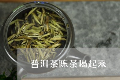 普洱茶陈茶喝起来/2023031700714