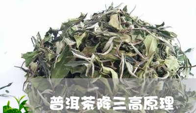 普洱茶降三高原理/2023033149480