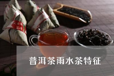 普洱茶雨水茶特征/2023041274282