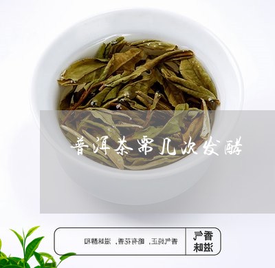 普洱茶需几次发酵/2023041099582