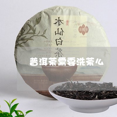 普洱茶需要洗茶么/2023041186949