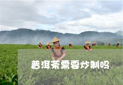 普洱茶需要炒制吗/2023040115278