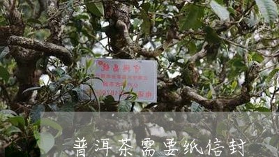 普洱茶需要纸信封/2023040976160