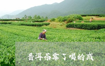 普洱茶霉了喝的成/2023033176938