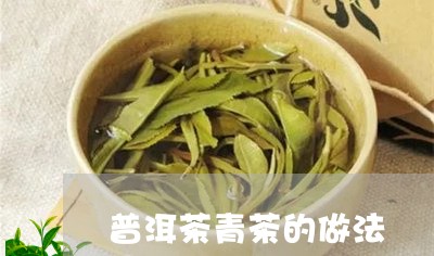 普洱茶青茶的做法/2023041315836